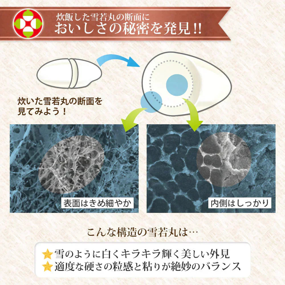 雪若丸 白米 20kg (5kg×4袋) 山形県産 令和7年産 送料無料 米 20キロ こめ コメ お米 精米 新米 お米20kg 雪若丸20kg 雪若丸20キロ