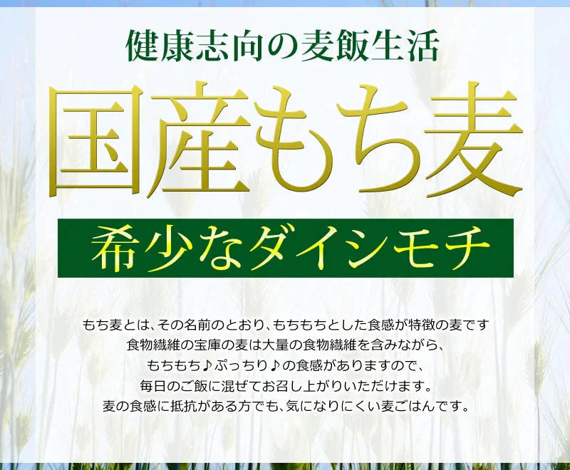 もち麦 国産 900g ダイシモチ 茶紫色 雑穀 送料無料