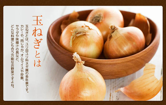 サラサラ玉ねぎケルセチン《約1ヶ月分》国産/北海道産/淡路島産/タマネギ/玉ねぎ/玉葱/醗酵黒玉ねぎ/サプリ