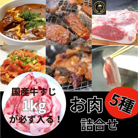 【5種以上お肉の詰合せ】国産牛すじ1kgが必ず入る（LYB豚・牛タン・ホルモン・カルビ等々）