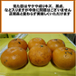 甘夏 訳あり 箱込10kg（9kg+保証分500ｇ）熊本産