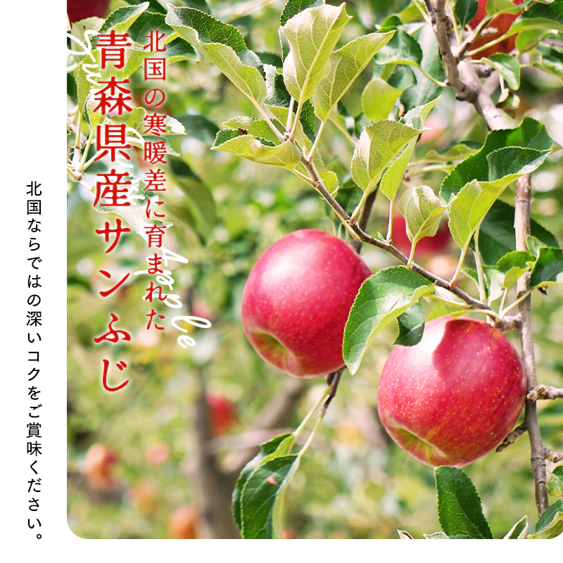 【ただいま発送中！】青森県産 訳あり サンふじ 10kg 数量限定! 家庭用 青森  りんご 林檎 ふじ 果物　フルーツ 送料無料　ks