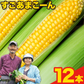 【TVで紹介】とうもろこし 卯野農場 すごあまこーん 12本入り 【3L~Lサイズ / 約3.6kg-4.8kg前後】  朝採り スイートコーン 《7-14営業日以内に発送予定（土日祝除く）》