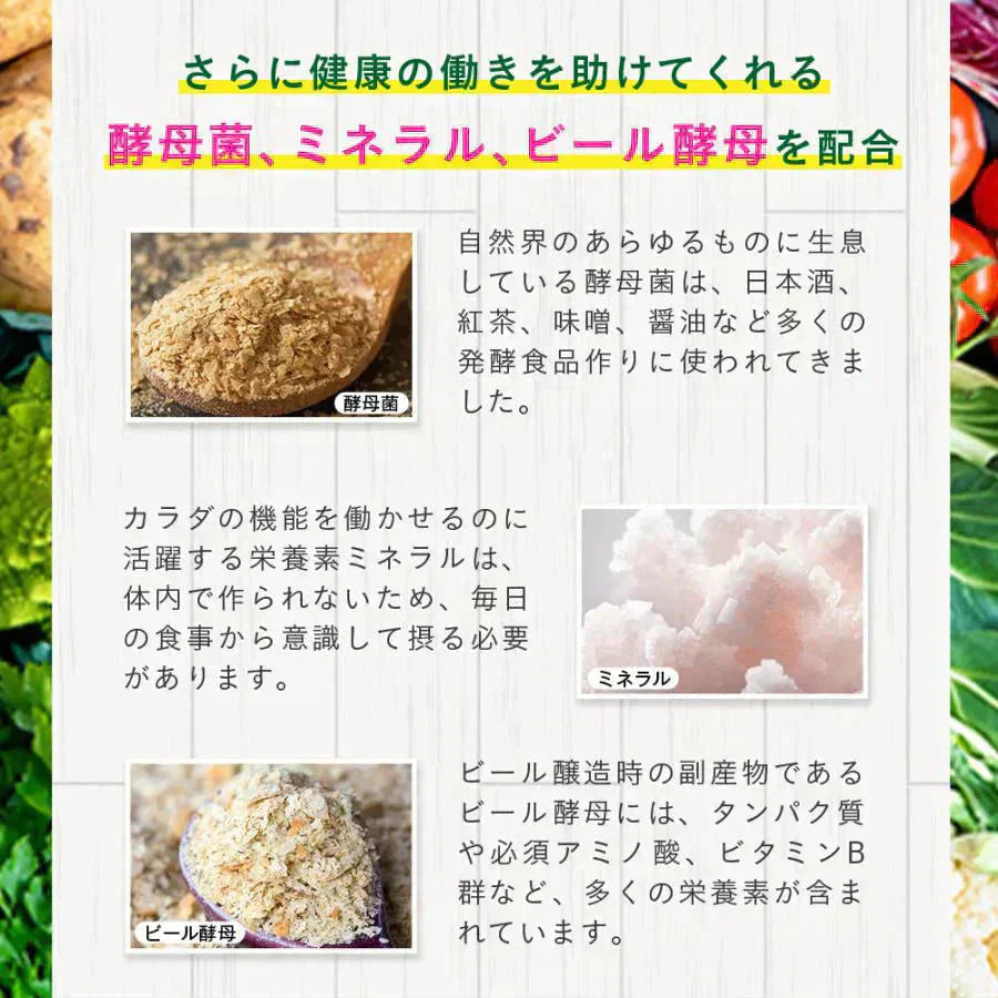 まいにち酵素《約3ヶ月分》野草 果実 海藻 キノコ 豆類を使用 送料無料 酵素サプリ