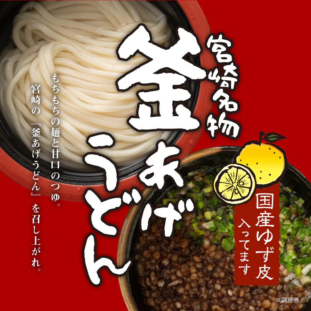 宮崎 釜あげうどん 6食 送料無料 つゆ・薬味付き ご当地うどん 食品 ご当地グルメ 産直 お試し 取り寄せ