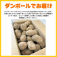 訳あり・規格外北海道じゃがいも 5kg【ご新規さん限定商品】