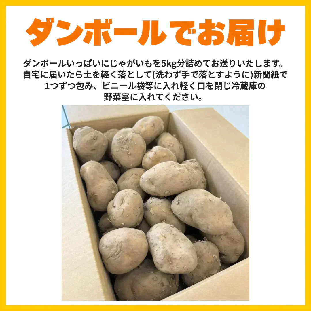訳あり・規格外北海道じゃがいも 5kg【ご新規さん限定商品】