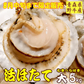 8月中旬まで限定販売　青森県野牛産　活ほたて　大サイズ　5キロ　むきへら付き