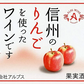 【送料無料】長野県アルプスワイン 信州りんご フルーツワイン 4％ 500ml×2本【本州(一部地域を除く)は送料無料】