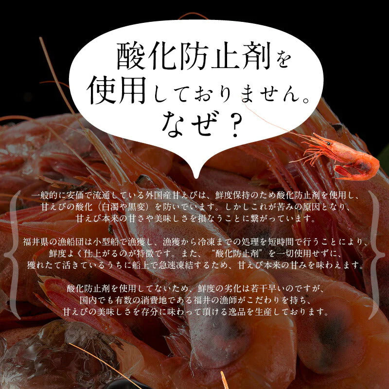 甘えび 越前産 甘エビ 子持ち 1kg（500g×2箱）約80尾入り 刺身用［送料無料］ 甘海老 子持ち甘エビ 海鮮 食べ物 魚介 水産 冷凍 お徳用 祝い 海老 えび エビ 刺身 ごちそう 贈り物 贈答 食品ギフト 国内 国産 母の日 プレゼント ギフト  母の日思いの 実用的 父の日 子供