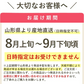 【8月初旬から発送】ミニトマト ロッソナポリタン 1kg イタリアントマト フルーツトマト 高糖度トマト とまと 山形県産