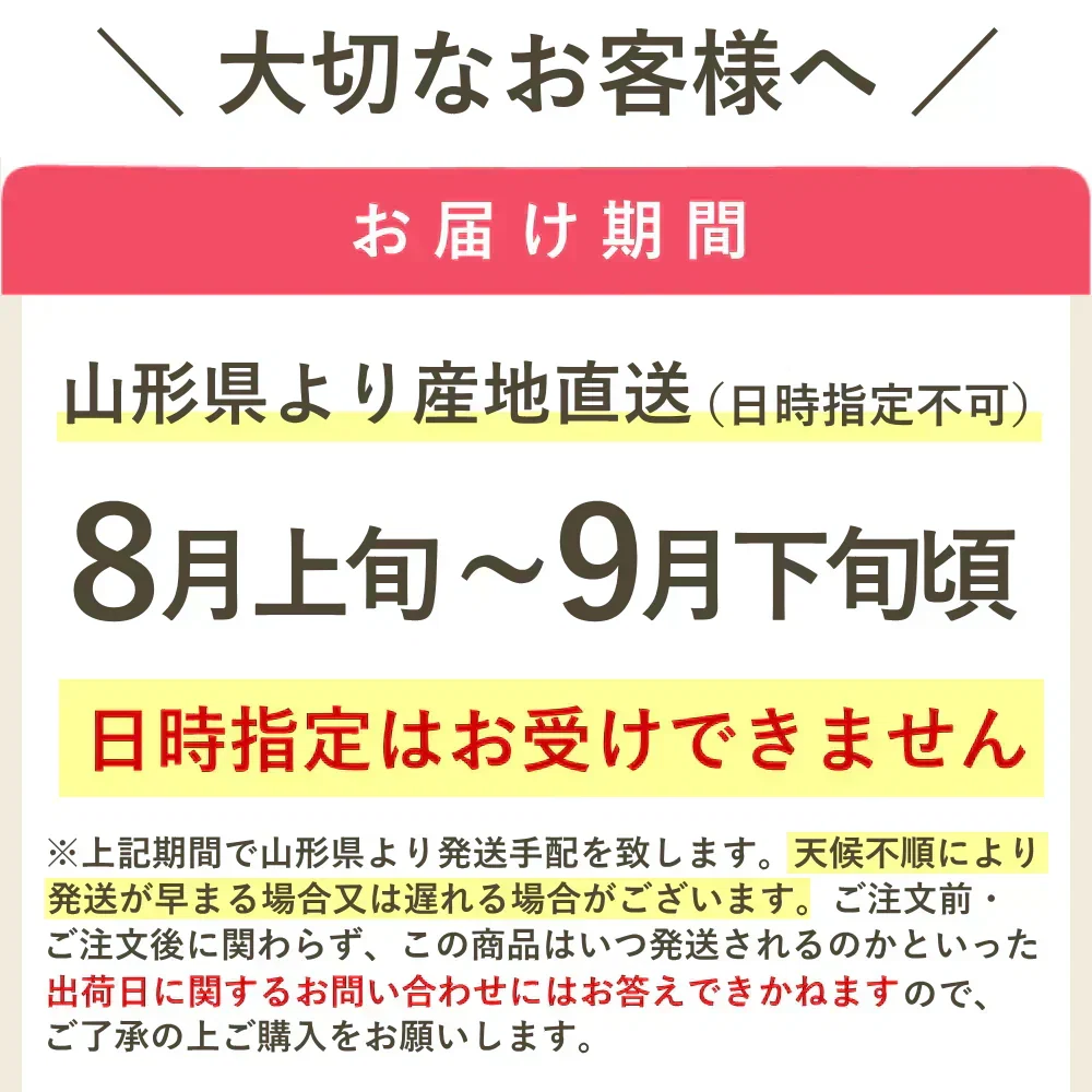 【8月初旬から発送】ミニトマト ロッソナポリタン 1kg イタリアントマト フルーツトマト 高糖度トマト とまと 山形県産