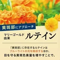 めなり極 目サプリ ルテイン サプリ 目 サプリメント 目のサプリ 視界 ぼやけ 目のピント ゼアキサンチン ビルベリー アントシアニン 目のサプリメント ブルーベリー ルテインサプリ 亜麻仁油 マリーゴールド アイケア カプセル アスタキサンチン 飛蚊症 ブルーライト