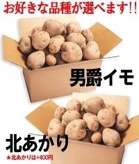 岩手県産 じゃがいも 10kg 無農薬栽培 品種MIX（きたあかり・男爵）