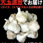 令和7年度産 青森県産にんにく 1㎏ 訳あり 並級C品 Mサイズ以上大玉混合 福地ホワイト六片種