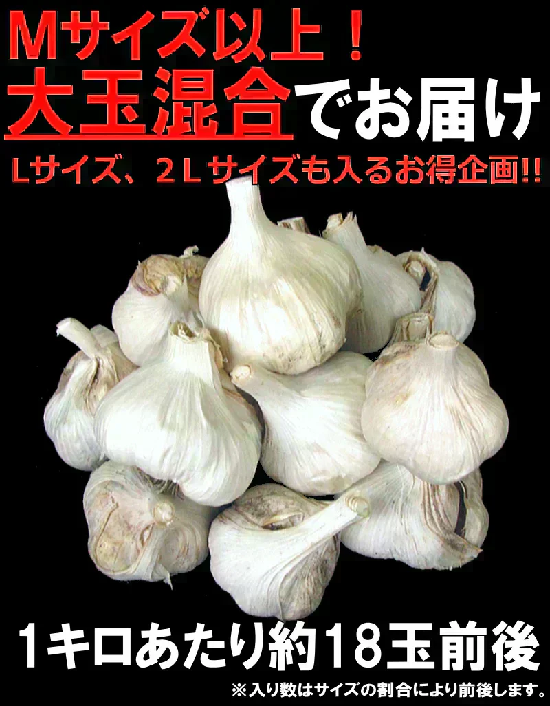 令和7年度産 青森県産にんにく 1㎏ 訳あり 並級C品 Mサイズ以上大玉混合 福地ホワイト六片種