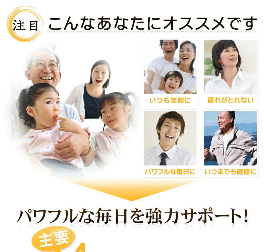 黒生姜入り　にんにく卵黄＋山人参カプセル《約3ヶ月分》生姜/にんにく卵黄サプリ/にんにくサプリ【大容量】