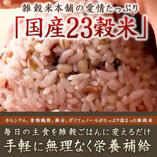 雑穀 雑穀米 国産 栄養満点23穀米 400g お試しサイズ 無添加 無着色 送料無料 ポスト投函