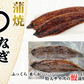 うなぎ蒲焼 鰻蒲焼 2尾 送料無料 特大サイズ 蒲焼 土用の丑の日 うなぎ ウナギ 鰻 中国産 メーカー直送 shr-021
