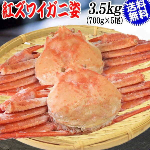 【2024年1月10日以降の発送予定】 紅ズワイ姿　3.5kg（700g×5尾）　送料無料　蟹味噌　ズワイガニ　山陰香住港 兵庫県　国産