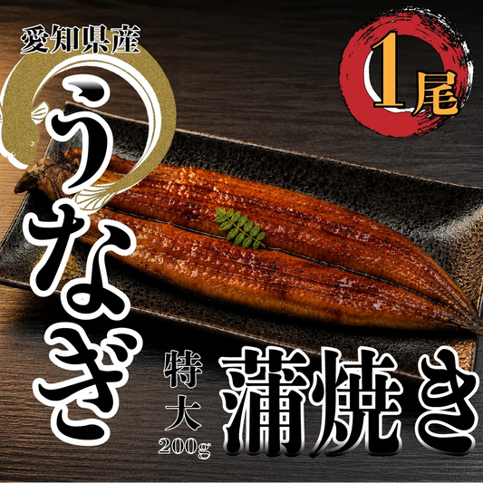【ご注文受けてから捌きます！】捌きたて！愛知産★活うなぎの蒲焼き　特大　200g×１尾　鰻　ウナギ　蒲焼き