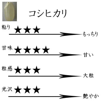 新米 食べ比べ 玄米20kg(10kg×2) 滋賀県近江八幡産 コシヒカリ キヌヒカリ 令和6年産 内野営農組合 環境こだわり農産物