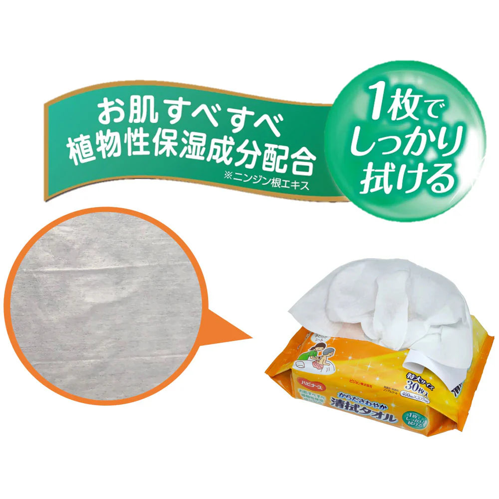 介護用からだふき ハビナース からださわやか清拭タオル 30枚入りＸ10パック
