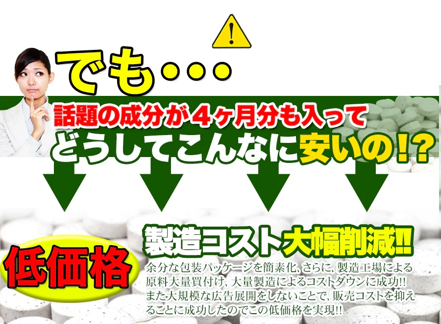 【メガ盛り 大容量4ヵ月分・ダイエット 酵素】サプリ TVCMでも話題の酵素サプリがどっさりメガ盛りで登場 酵素 ダイエット サポート 激やせ 燃える 燃やす 水溶性食物繊維 野草発酵 生酵素 サプリメント ヨモギ ニンニク ドクダミ ラカンカ カリン キダチアロエ シソの葉 おすすめ 人気 ランキング 効果 強力 最強 通販 日本製 国産 健康サプリ 健康食品 90種類の野菜 野草から抽出した 痩せる 酵素サプリメント