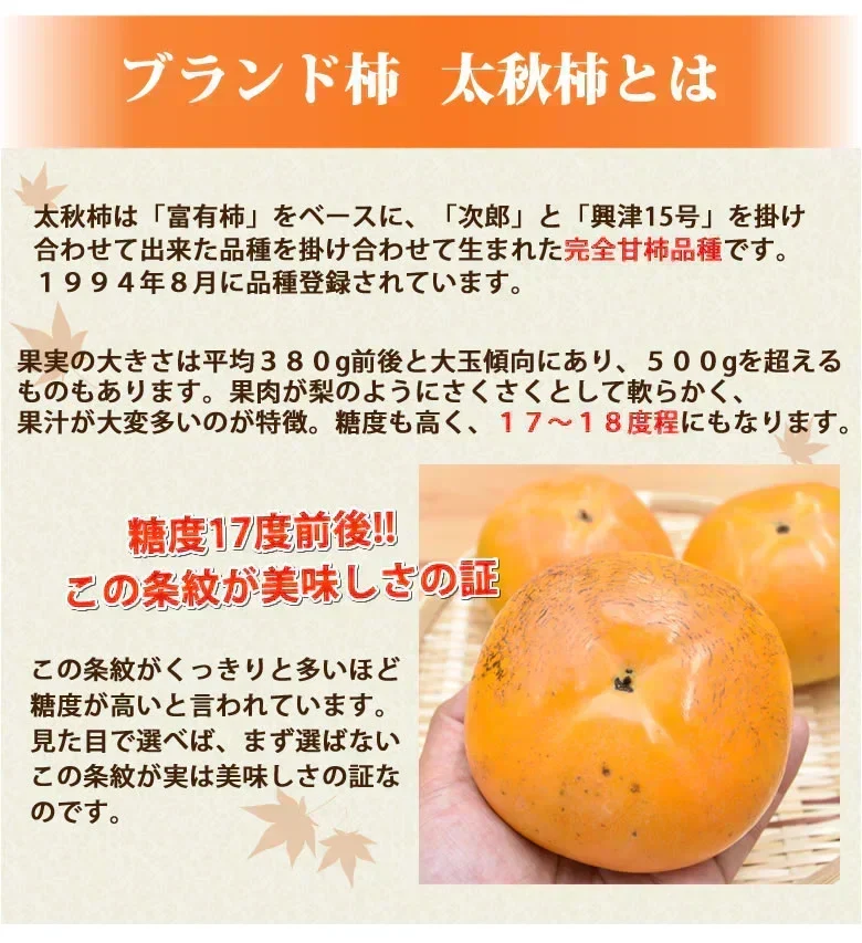 【10月下旬～11月上旬頃より順次出荷】太秋柿 柿 訳あり 送料無料 約3kg 熊本・福岡県産 お取り寄せ フルーツ 太秋 たいしゅうがき 甘柿 かき カキ