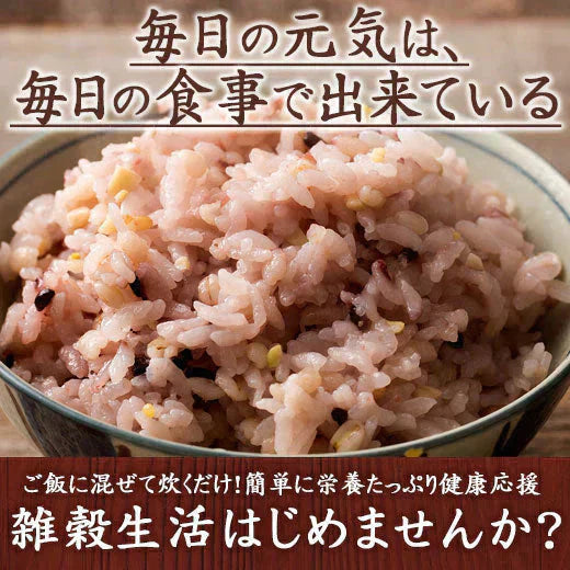 雑穀 雑穀米 国産 栄養満点23穀米 400g お試しサイズ 無添加 無着色 送料無料 ポスト投函