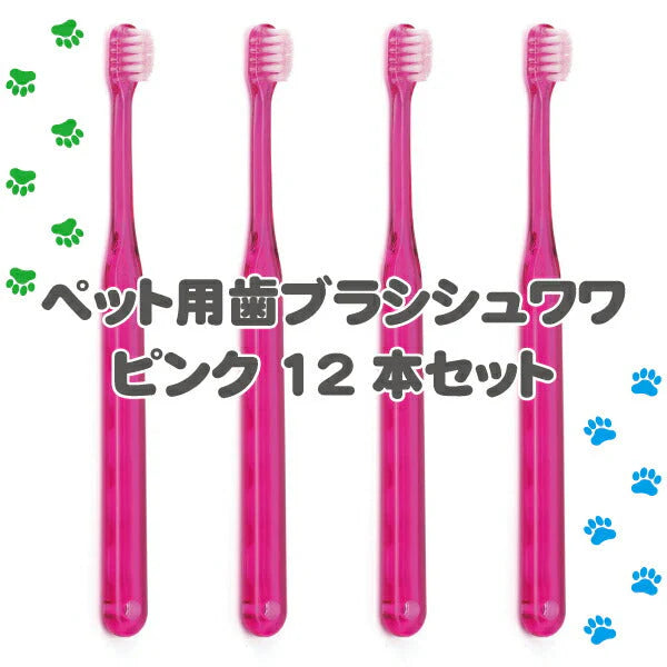 犬用 歯ブラシ / Ci シュワワ / ピンク /12本セット【Ciメディカル 歯ブラシ】【メール便送料無料】