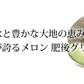 メロン 肥後グリーンメロン 送料無料 2玉 約3～4kg M～3L 熊本県産 肥後グリーン