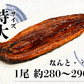うなぎ蒲焼 鰻蒲焼 2尾 送料無料 特大サイズ 蒲焼 土用の丑の日 うなぎ ウナギ 鰻 中国産 メーカー直送 shr-021