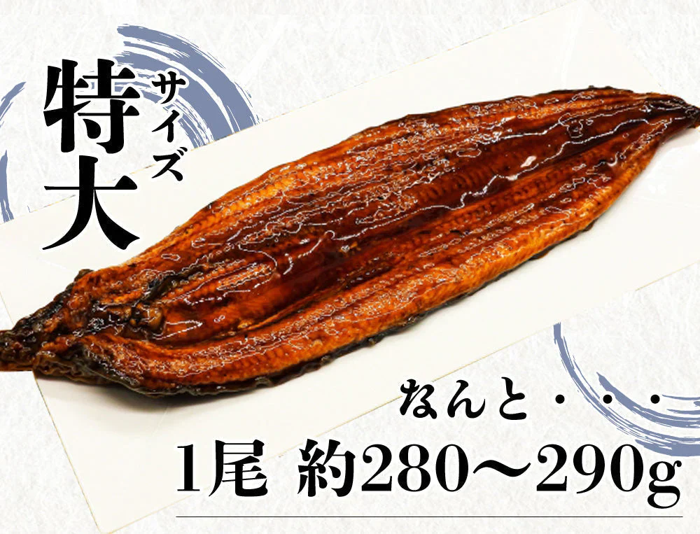 うなぎ蒲焼 鰻蒲焼 2尾 送料無料 特大サイズ 蒲焼 土用の丑の日 うなぎ ウナギ 鰻 中国産 メーカー直送 shr-021