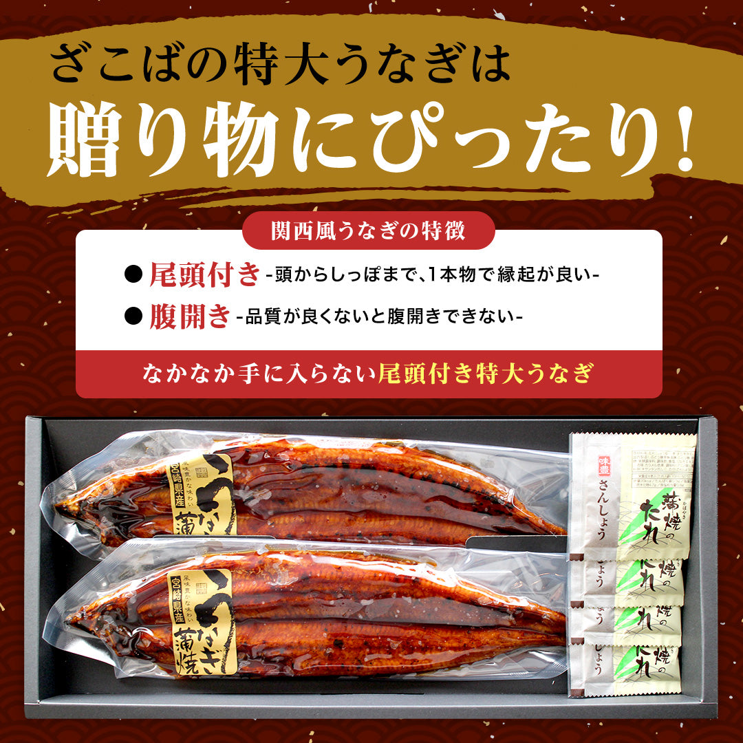 特大うなぎ蒲焼 約200gｘ2本 九州産