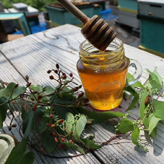国産 天然ハチミツ 清夏の薫り 瓶タイプ 600g 非加熱 はちみつ 蜂蜜 ギフト 瓶詰 国産蜂蜜
