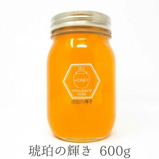 国産天然ハチミツ 琥珀の輝き 瓶タイプ 600g 非加熱 はちみつ 蜂蜜 ギフト 瓶詰 国産蜂蜜
