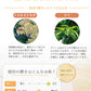 国産 天然ハチミツ 琥珀の輝き パウチタイプ 90g 非加熱 はちみつ 蜂蜜 ギフト 瓶詰 国産蜂蜜