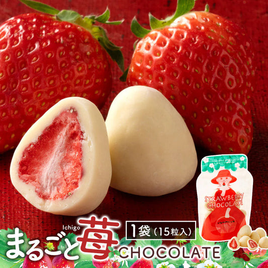 【チョコ常温販売期間終了】 チョコレート まるごと苺チョコレート 15粒入り  スイーツ チョコ ストロベリー 苺 まるごと ホワイトチョコ いちご スイーツ  贈り物 お返し