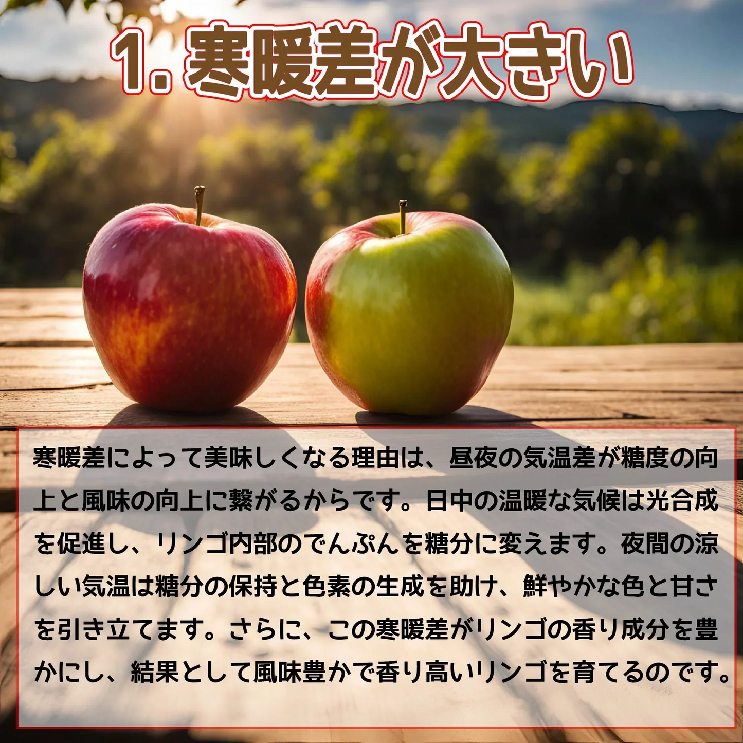 青森県産　りんご　　訳あり　ご家庭用　　有袋ふじ　小玉　10ｋｇ　送料無料！