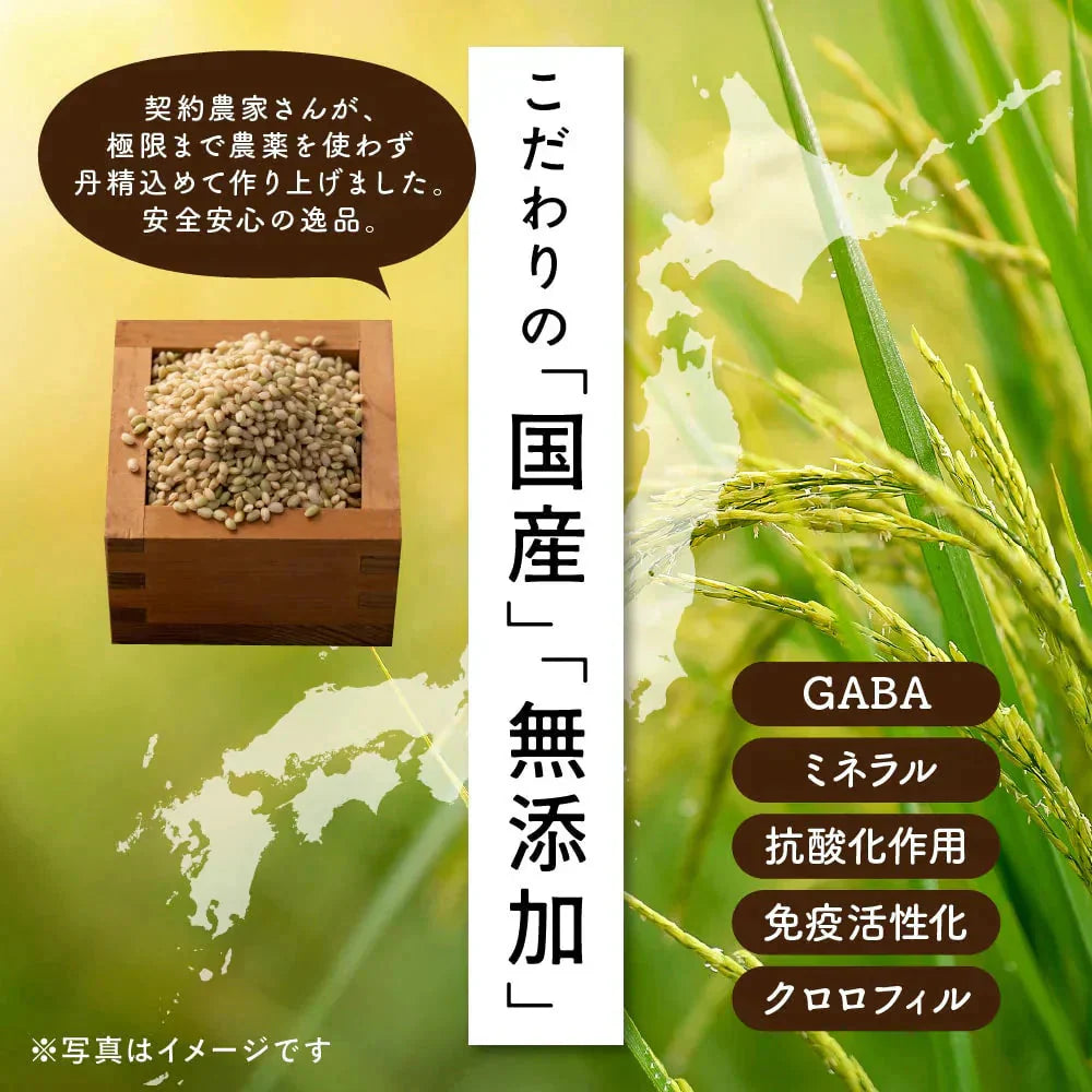 雑穀 雑穀米 国産 緑米 4kg(400g×10袋) 徳用サイズ 無添加 無着色 送料無料 古代米 みどりまい