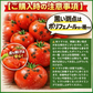 【予約商品・2026年10月初旬ごろ順次発送～2027年2月末までに発送】国産！家計応援価格！規格外品 中～大玉トマト 約500g（最低300g以上）(2玉～6玉) 【カウシェファーム収穫対象商品】