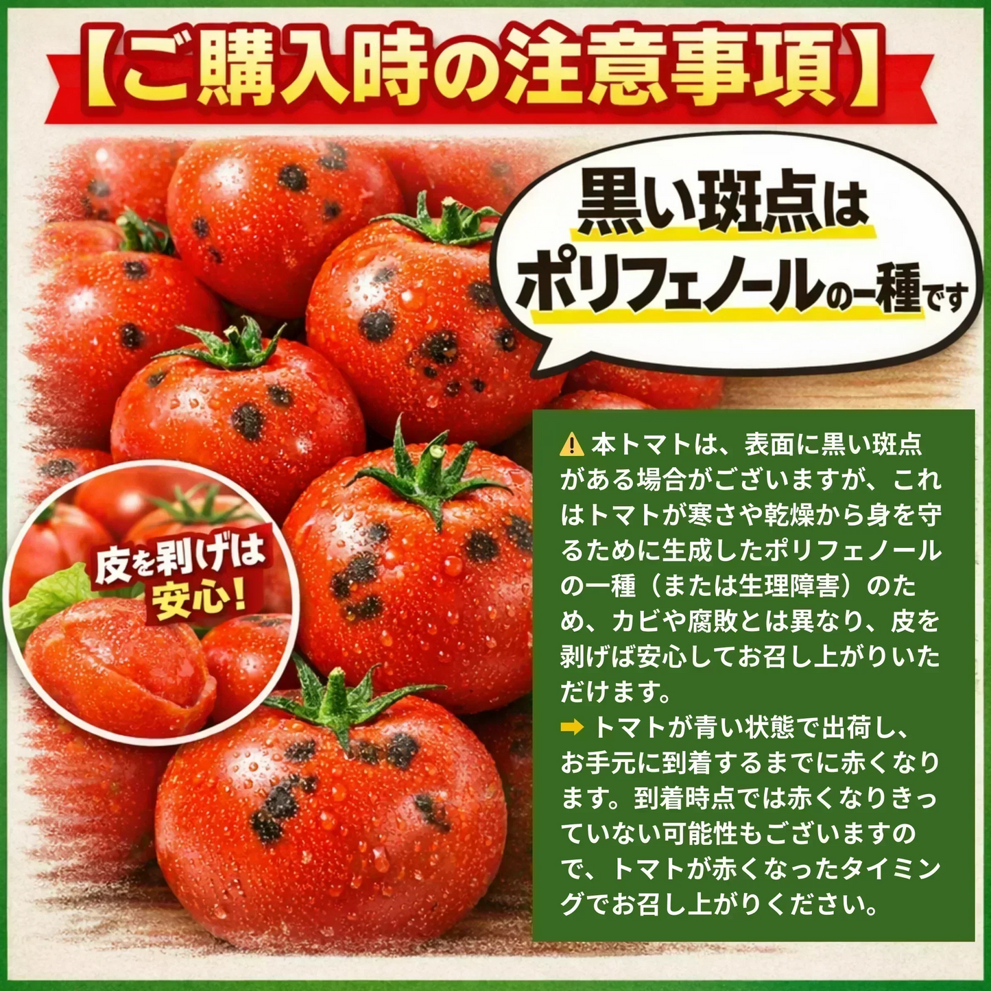 【予約商品・2026年10月初旬ごろ順次発送～2027年2月末までに発送】国産！家計応援価格！規格外品 中～大玉トマト 約500g（最低300g以上）(2玉～6玉) 【カウシェファーム収穫対象商品】