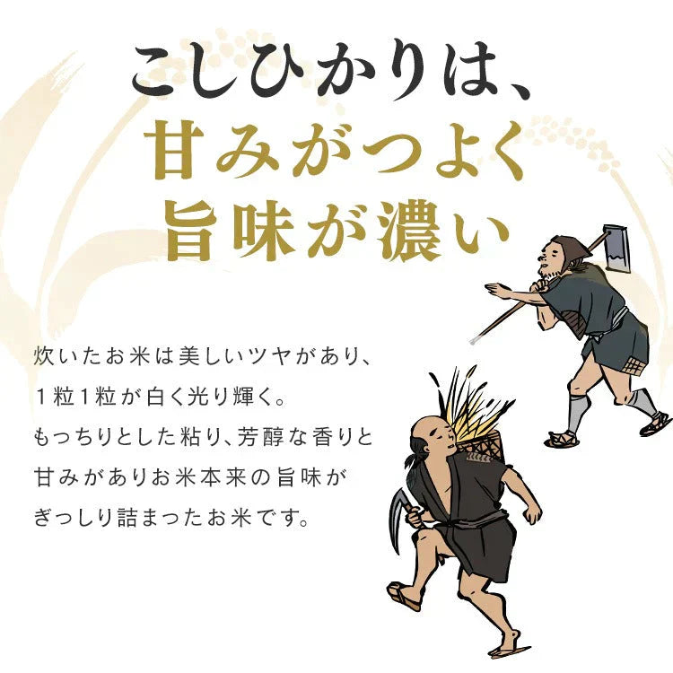 【カートアップNG】アイリスオーヤマ 低温製法米 新潟県魚沼産 こしひかり チャック付き 2kg