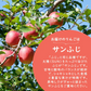 【2月中旬頃-3月下旬ご注文順次発送開始】訳あり りんご 約5kg バラ詰め サンふじ ふじ 青森産 林檎 リンゴ ふじ フジ