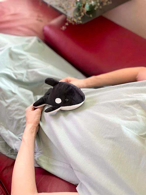 湯たんぽ アニマル 動物 レンジ対応 かわいい ぬくぬく 温かい あったか 秋冬 お湯不要 / Salofix ホット＆スチームパッド アニマル シャチ