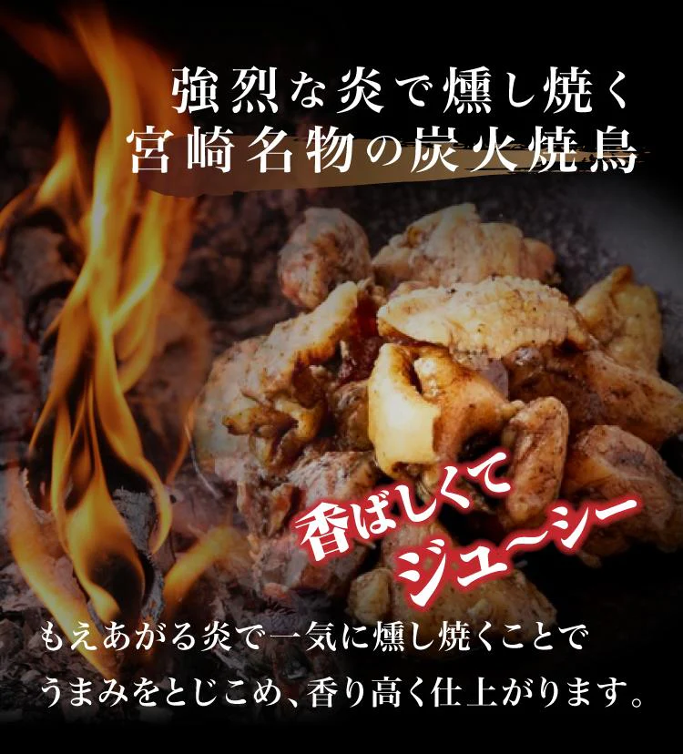 90g×2袋 日向屋 鶏炭火焼 日向屋オリジナル塩胡椒 にんにく ローストオニオン で味付け炭火焼