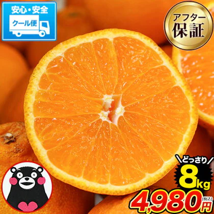 デコみかん たっぷり 8kg みかん 訳あり クール便 不知火 ミカン 熊本県産 デコポン と同品種 熊本 柑橘 美味しい みかん 産地直送 箱 でこ mikann くまもと風土 《1-5営業日以内に頃より発送予定》