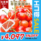 【6月下旬発送】 さくらんぼ 1kg お徳用 佐藤錦 or 紅秀峰 他 山形県産 バラ詰めお一人様2箱まで 家庭用 数量限定 産地直送 訳あり サイズ混合 送料無料 ※遠方へは別途送料がかかります 品種の指定はできません 果物 大特価【エコ得SALE】