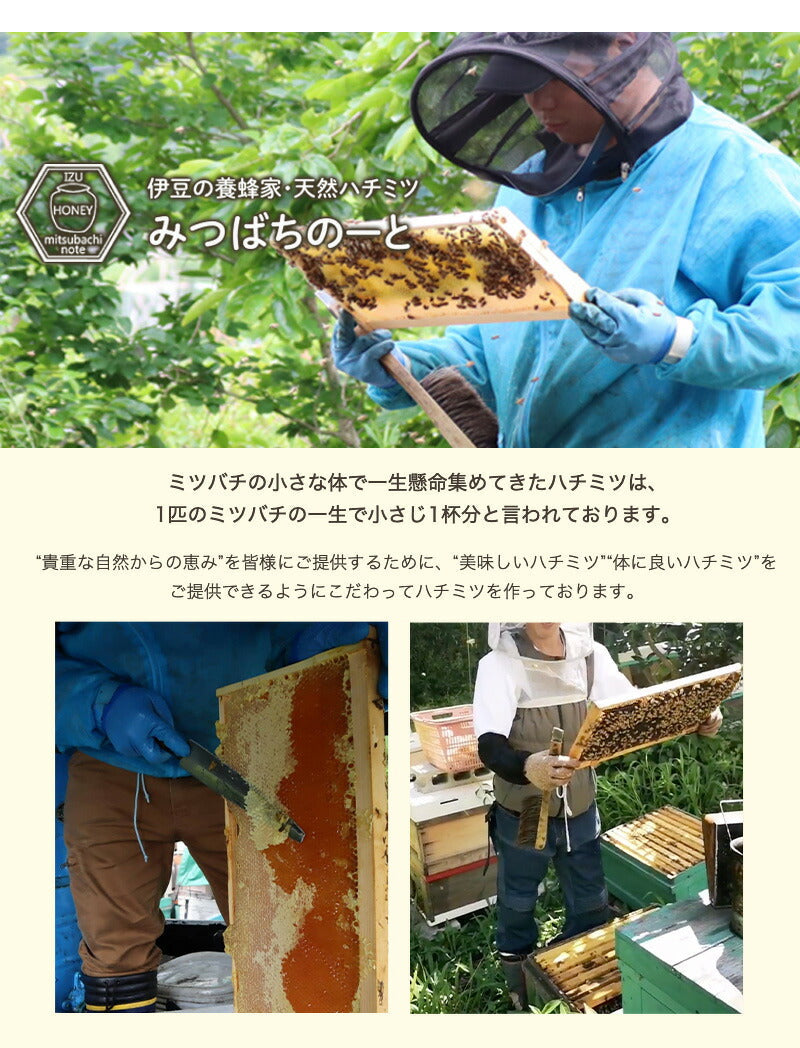 国産 天然ハチミツ 3種ミックスハチミツ スティックタイプ 30本入 個包装ハチミツ 非加熱 国産蜂蜜